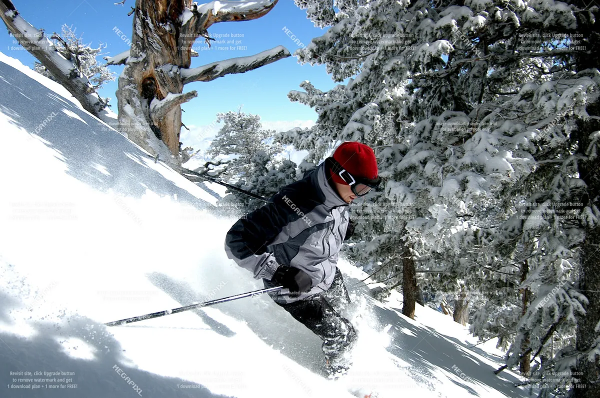 A skier in mid-action glides down a snow-covered slope surrounded by evergreen trees, capturing the excitement and fun of winter sports in the mountains.