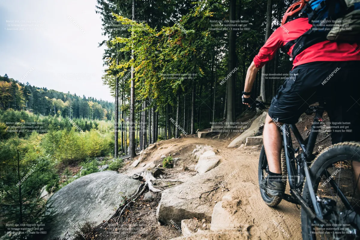 A mountain biker speeds down a rocky forest trail surrounded by tall trees, exuding a sense of excitement and immersion in nature. The bright sunlight filtering through the trees hints at the varied terrain and outdoor adventure possibilities.